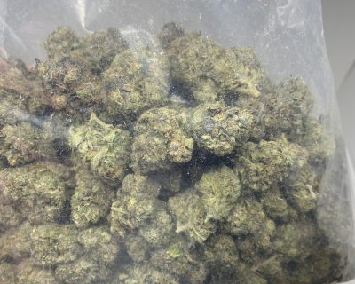 ROTTWEILER PINK (MEGA GAS) - Image 6